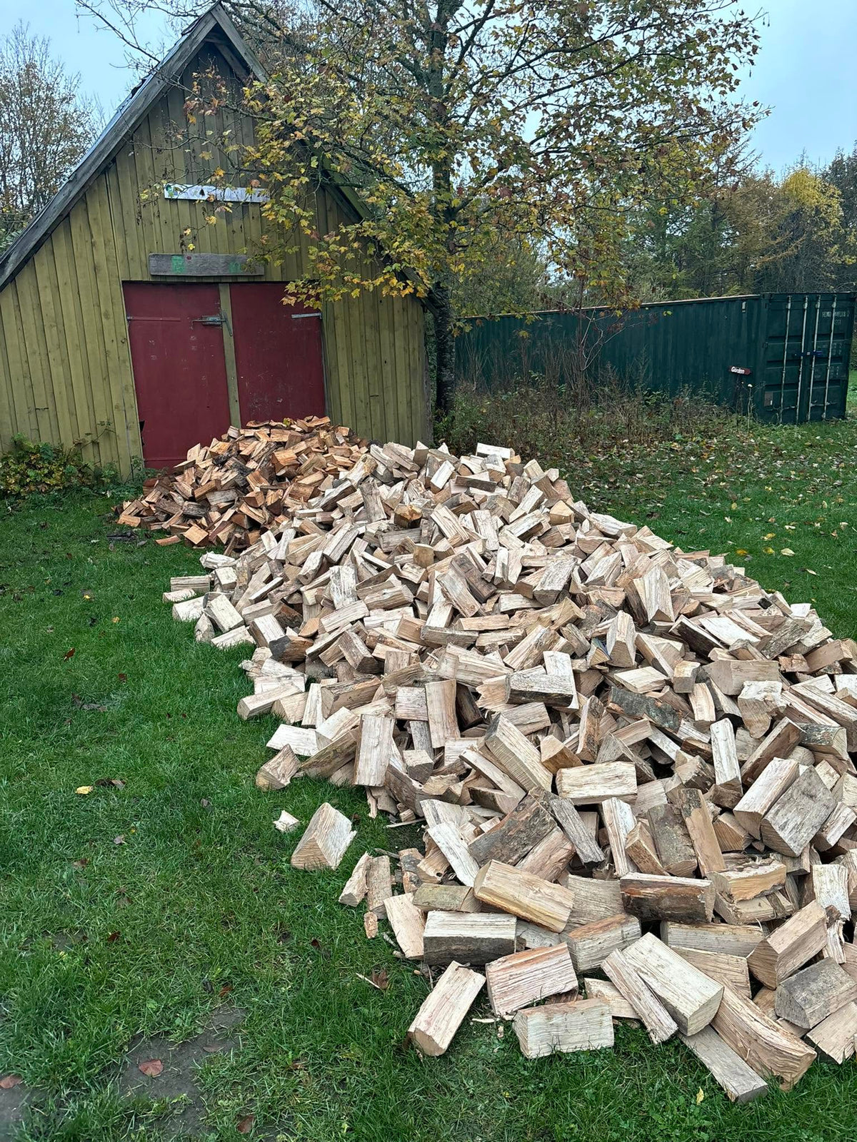 Bunke kløvet løvtræsbrænde foran en trælade